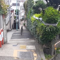 鳳山酒店と目白富士見坂の風景