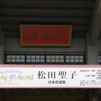 松田聖子２０１８コンサートツアー  メリーゴーランド  アコースティックコーナー    日本武道館に行ってきた