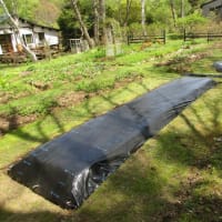Various garden work