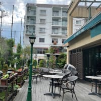 キャピタル東洋亭　百年洋食