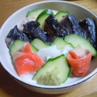 お寿司屋さんごっこを　まじでやってみた　２０１１０６２１