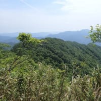 △三の又（ミノマタ）
