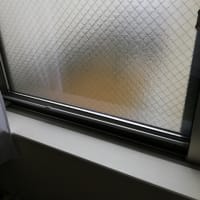 窓から外に出ちゃったバンくん