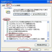 ファイルに拡張子を表示させる設定方法