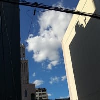 セッティング変えと台本書きスタート