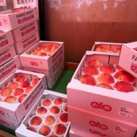 桃の季節になりましたね　2025年