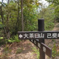 令和７年５月例会登山　「大茶臼山」