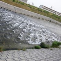愛しの。。。( ´艸｀)