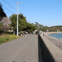 佐久島で散歩