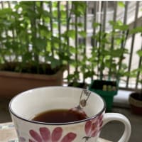 今日いち-2025年6月17日