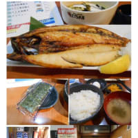 散策(食事編557)　｢東京中心北－1017｣    さくら 新宿西口店
