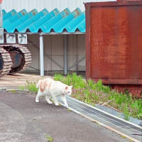 まさかの3days.