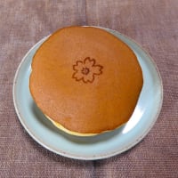 ２０２５・４・１８　善光寺大門は豆暦のどら焼き。ながの百景・旭山のカタクリ。な、夜。