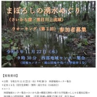 募集　まぼろしの湧水めぐり