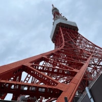 東京観光をしてきました。（2022年9月）