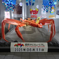 福井へ