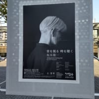 音を視る　時を聴く