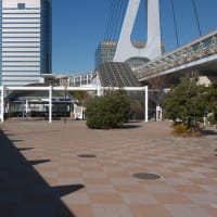 １月のお台場：シンボルプロムナード散策道を歩いて東京テレポート駅前へ　ＰＡＲＴ２