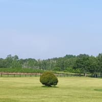 心地よい風が…カッコウも鳴いて…