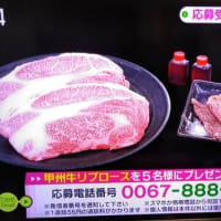 6/21・・・旅サラダプレゼント(月曜朝9時まで)