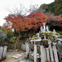 久しぶりの御朱印