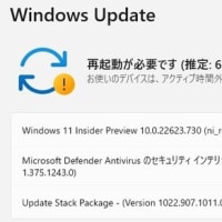 Windows 11 Insider Preview Beta チャンネルに Build 22623.730 が降りてきました。