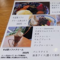 松本市梓川倭の手打蕎麦「シマ」で、野菜天ざるとそば茶ソフトクリームのランチ。