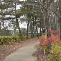 森林公園の南口&駐車場