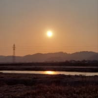 春の陽気🎶