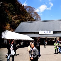 ８年前.奥千本からの吉野山は見事でした❣️