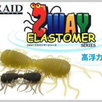 レイドジャパン入荷しました。