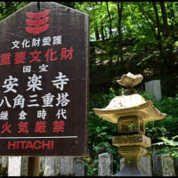 「安楽寺」の 国宝八角三重塔