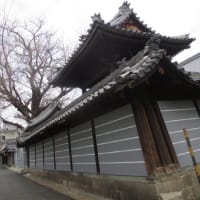 難宗寺のイチョウ