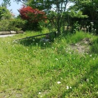 初めての60分に挑戦