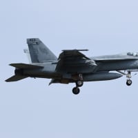 2025年4月18日 厚木基地 R/W19 “日米親善桜まつりフライ・イン抜粋版”