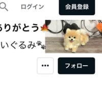 飛べない子カラス🐦‍⬛と見守る親カラス🐦‍⬛