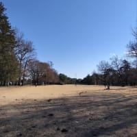 今日いち-2025年1月29日