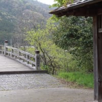 琵琶湖一周歩紀２～「楽浪（さざなみ）の志賀」を歩く～