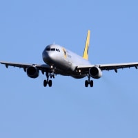エアーニッポン B737-800 (JA51AN)〝 STAR ALLIANCE 〟 - 写 エアーニッポン B737-800 (JA51AN)〝 STAR ALLIANCE 〟 - 写