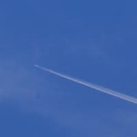 飛行機