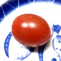 6月21日（土）