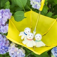 6月　休診のおしらせ