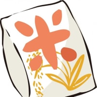 お米の違い