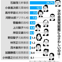 次の首相に誰が最もふさわしいか?