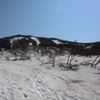 巻機山（残雪のブナ林を歩く）