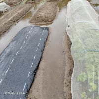 梅雨本番10,11日特に本日（水）大雨の予報！=10日はお休み=・・