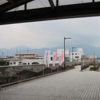 篠窪（しのくぼ）の隣町 花芸安達流　北澤様が「珍しい花材」の生け花を生けて下さいました　(2024/08/07)