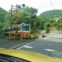 ここ何年かで見てきた景色