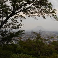 思い出の讃岐富士の山です。