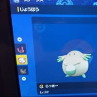 フェス&ポケ
